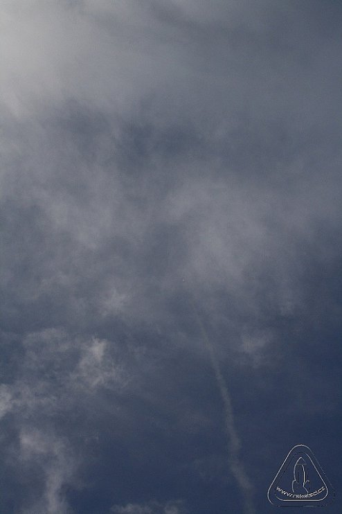 2012 Svojek mirek patek